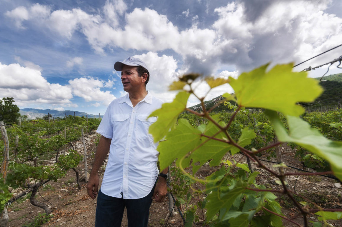 Dominikanische Republik. Der Südwesten 7 dominikanische republik weingut winzer thomas linkel