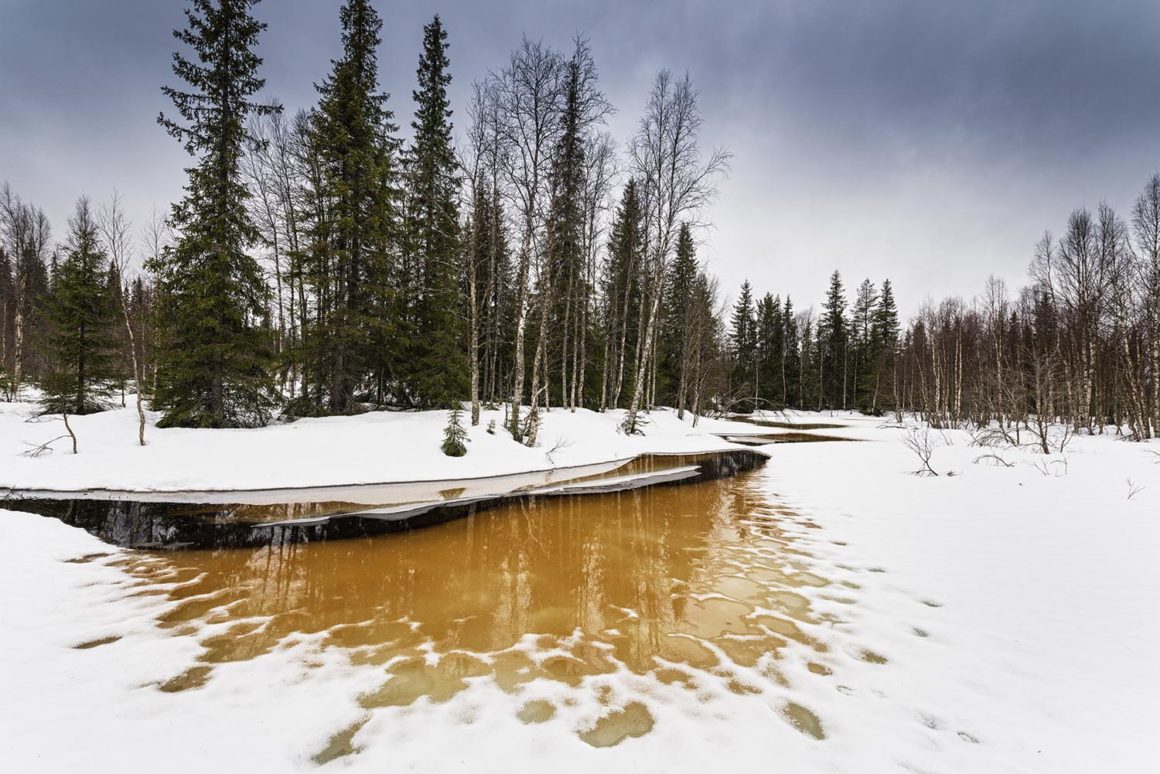 Finnland. Männer-Schutzgebiet 10 finnland syoete landschaft winter