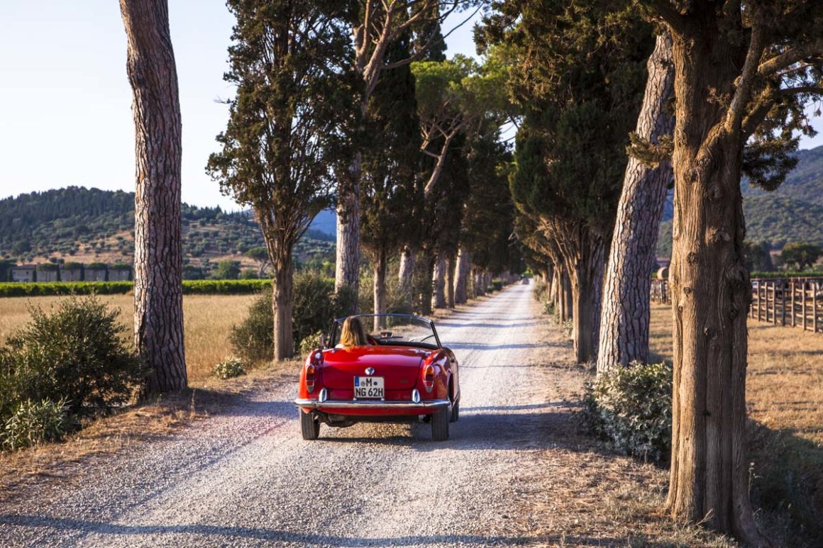 Toskana. Ciao Bella 16 Toskana, Alfa Romeo Giulia, Zypresse, Pinie, Allee