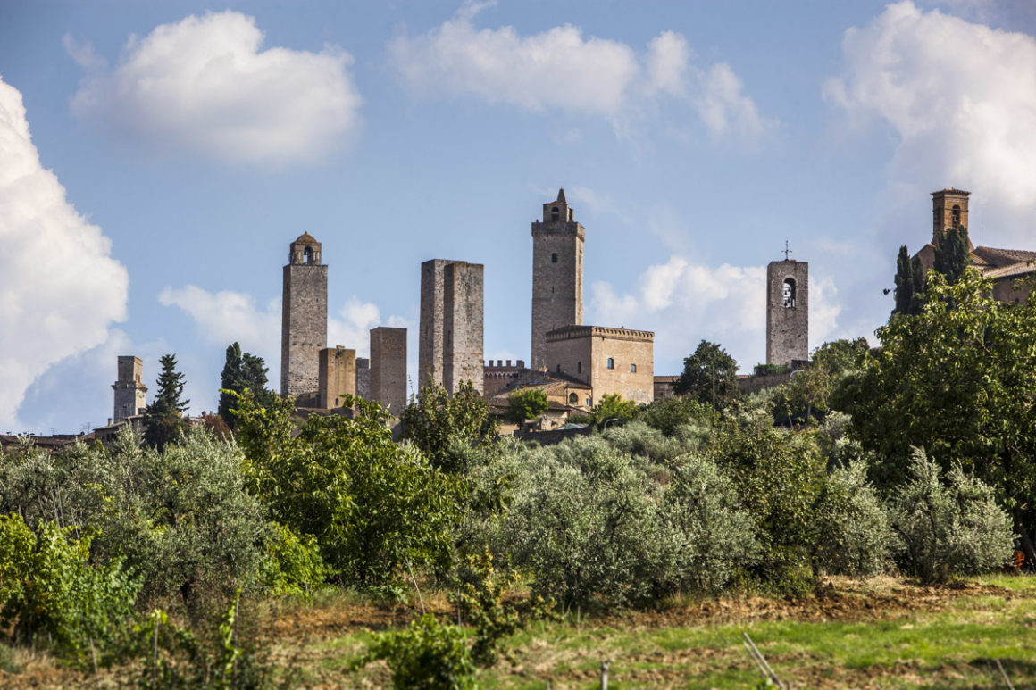Toskana. Ciao Bella 3 Toskana, San Gimigniano, Tuerme, Oliven