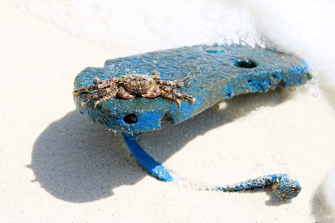 Dhigurah. Malediven unplugged 8 Malediven, Strand, Flipflop, Dhigurah