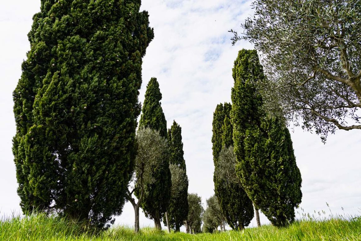 Venedig. Insel-Solo deluxe 8 Isola Santa Cristina in der Lagune von Venedig