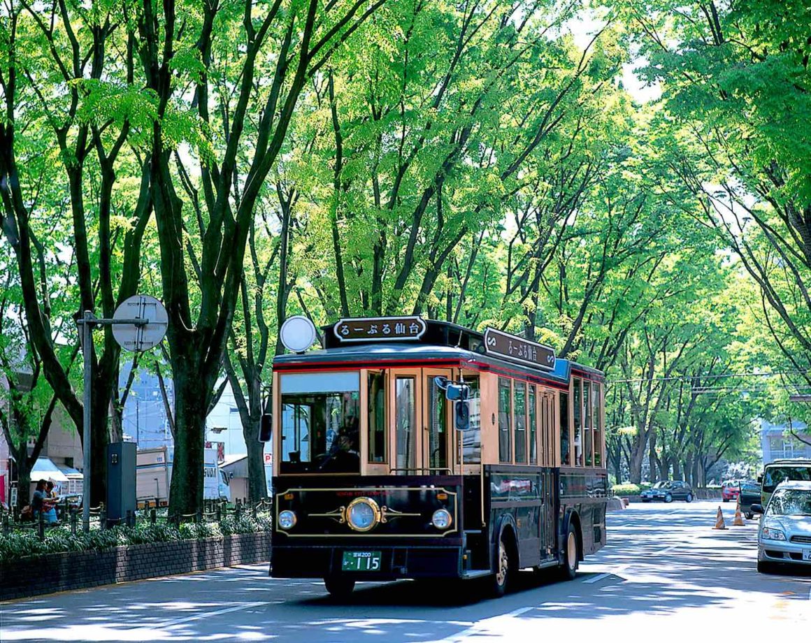 Japan. Geheimtipp Tohoku 5 Japan Tohoku Sendai Loople Bus Sightseeing