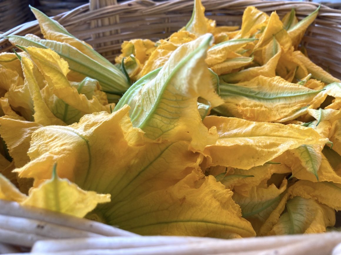 Kreta Malin Zucchinie Griechenland