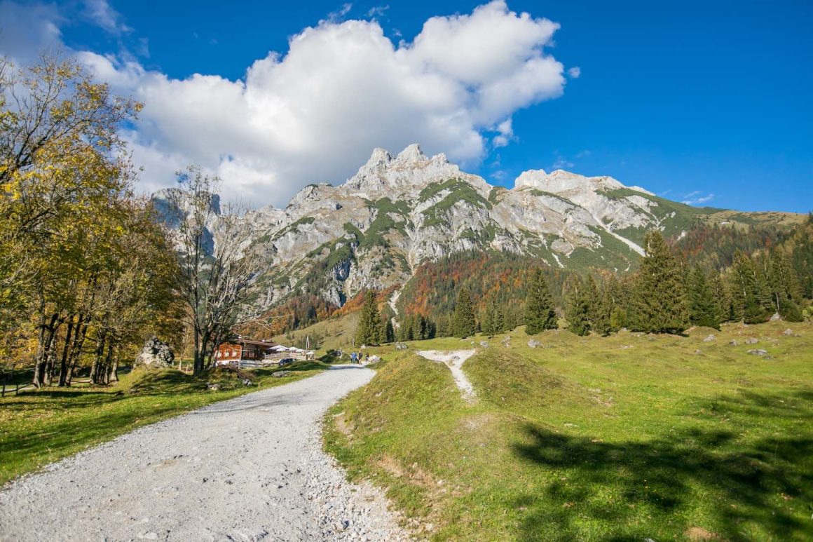 Woodridge Chalets. Holzklasse zum Verlieben! 8 Tennenberge in Werfenweng