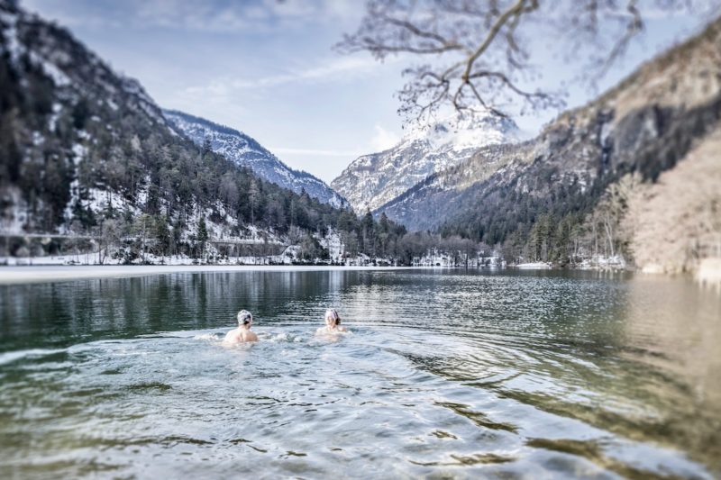 Bad Reichenhall, Oberbayern, Alpen, Winter, Schwimmen, See, Natur