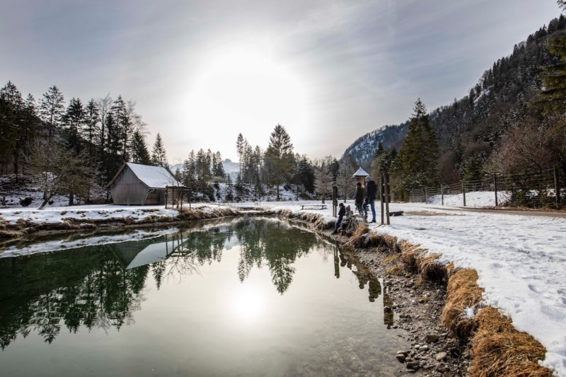 Oberösterreich, Winter, Outdoor, Waldness