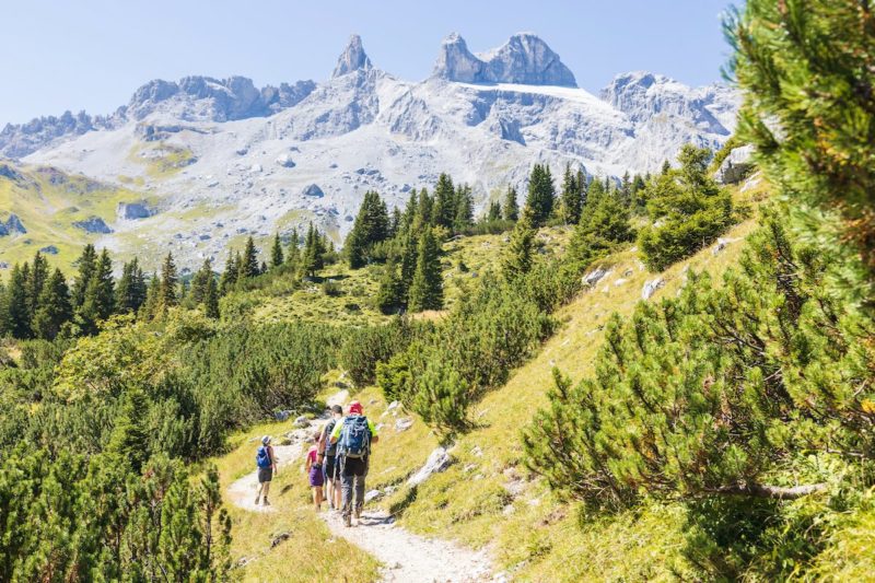 Alpenmosaik Montafon, Vorarlberg, Österreich, Alpen, Gauertal