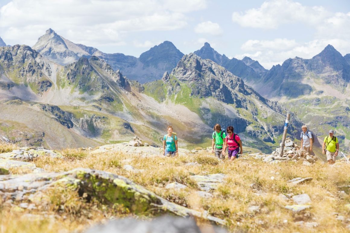 Alpenmosaik Montafon, Vorarlberg, Österreich, Alpen, Hohes Rad