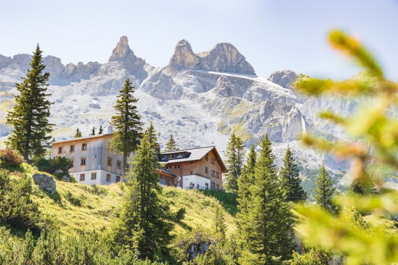 Alpenmosaik Montafon, Vorarlberg, Österreich, Alpen, Gauertal