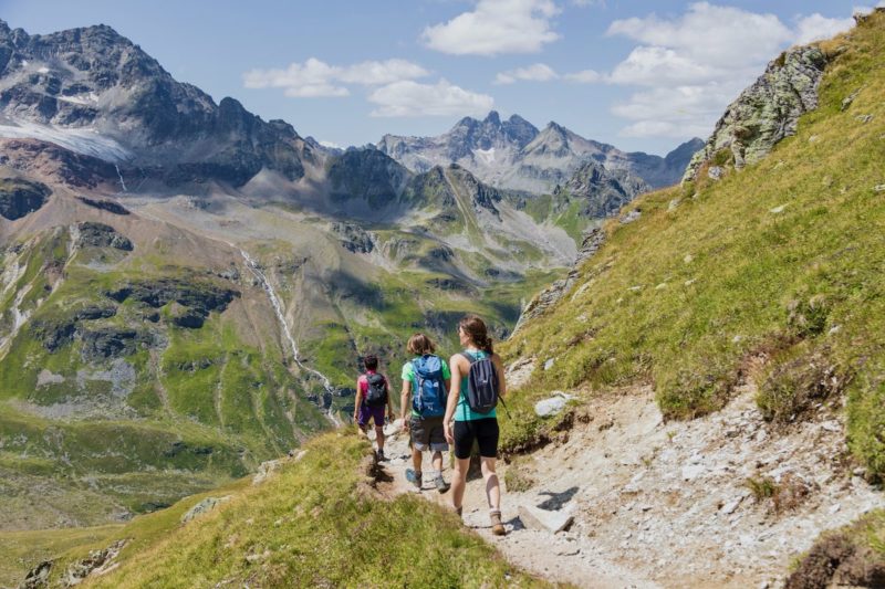 Alpenmosaik Montafon, Vorarlberg, Österreich, Alpen, Hohes Rad