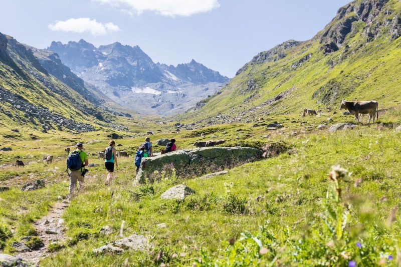 Alpenmosaik Montafon, Vorarlberg, Österreich, Alpen, Hohes Rad