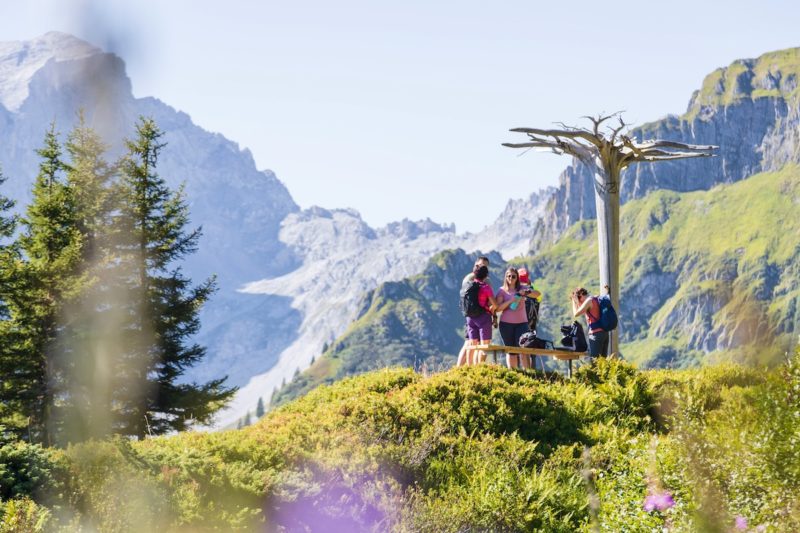 Alpenmosaik Montafon, Vorarlberg, Österreich, Alpen, Gauertal