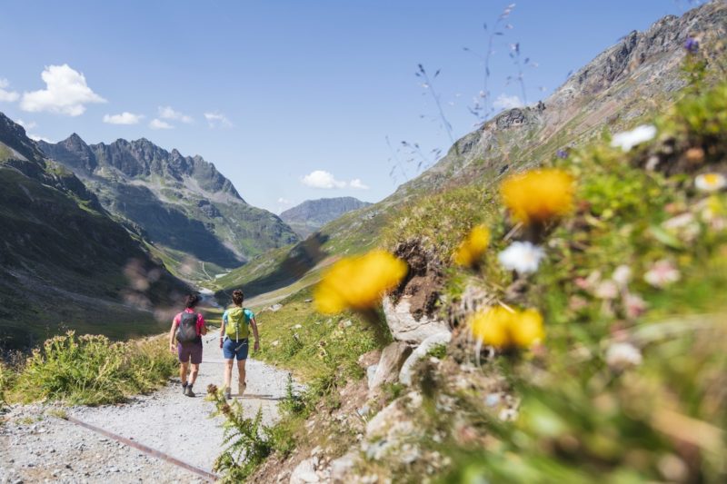 Alpenmosaik Montafon, Vorarlberg, Österreich, Alpen, Hohes Rad