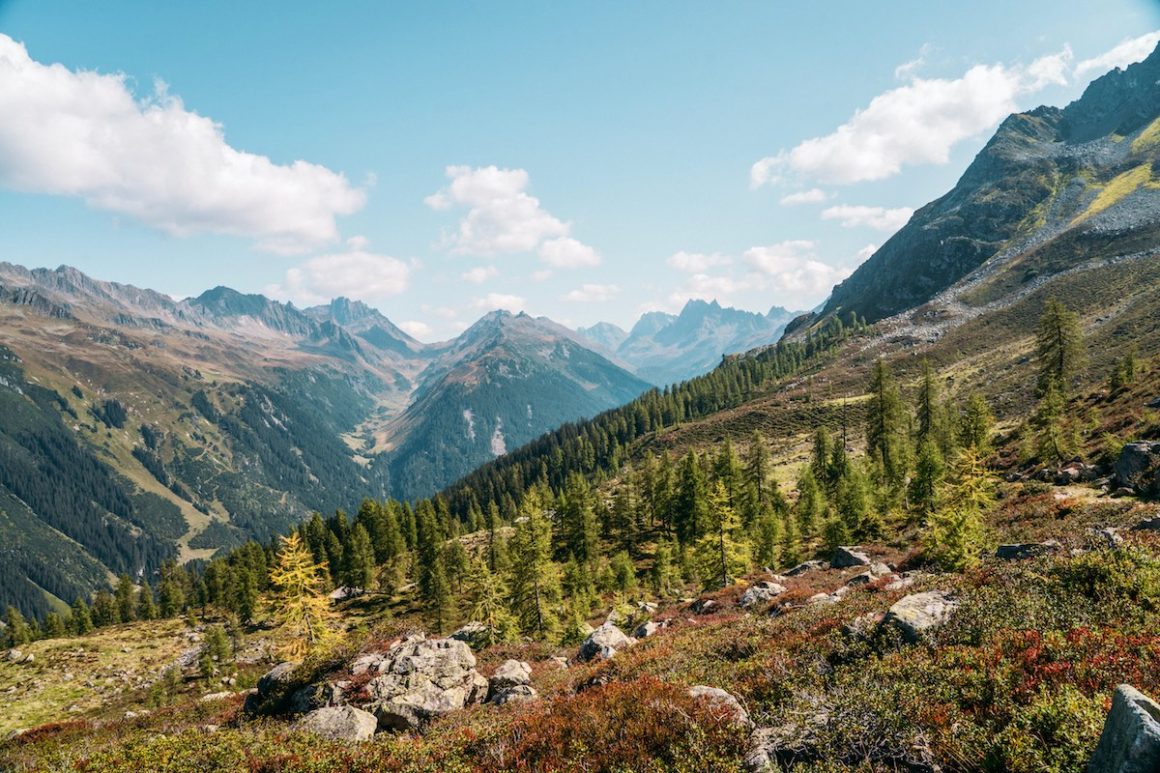 Alpenmosaik Montafon, Vorarlberg, Österreich, Alpen, Verwall