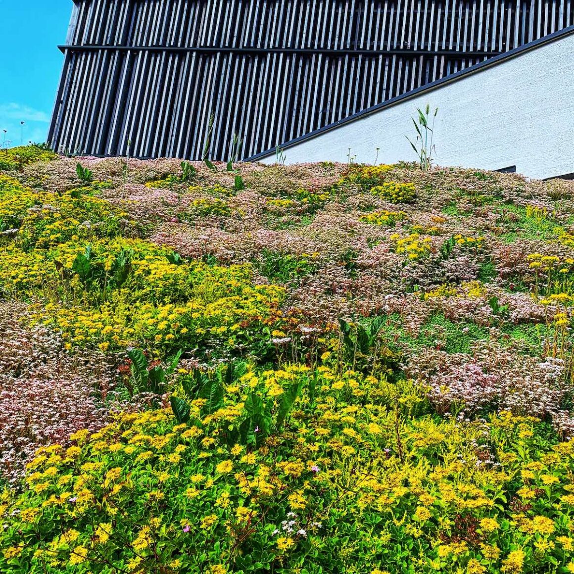 Falkensteiner Montafon. Quadratur des Kreises 4 Der bau des Falkensteiner Hotel Montafon schmiegt sich an und in den Berg