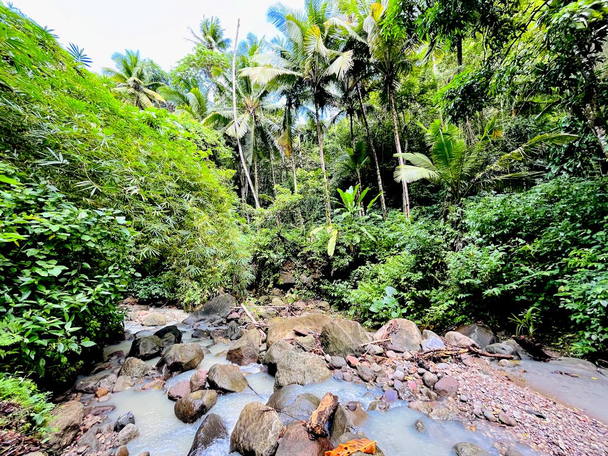 Jungle Biking St. Lucia: Badepause im Fluss