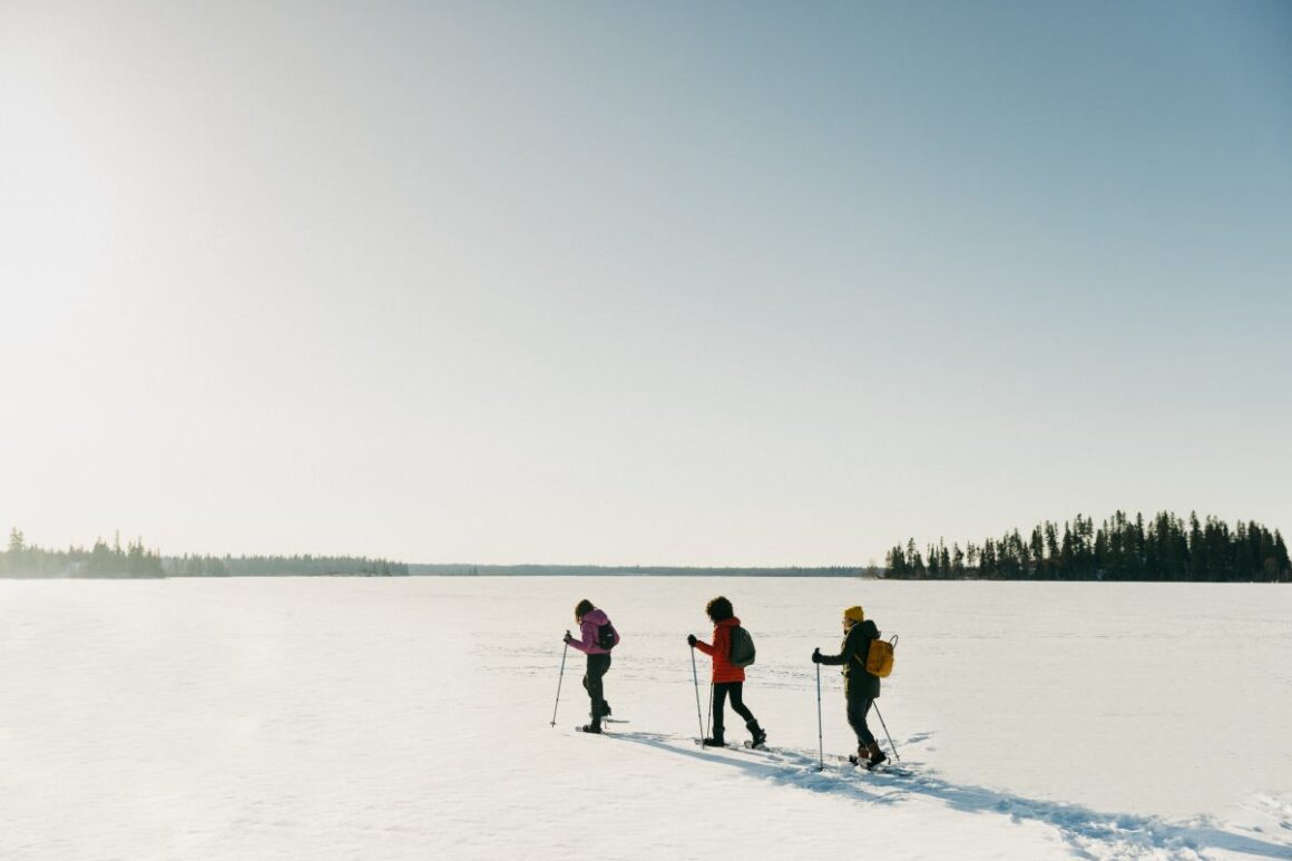 schneeschuhwandern elk island alberta