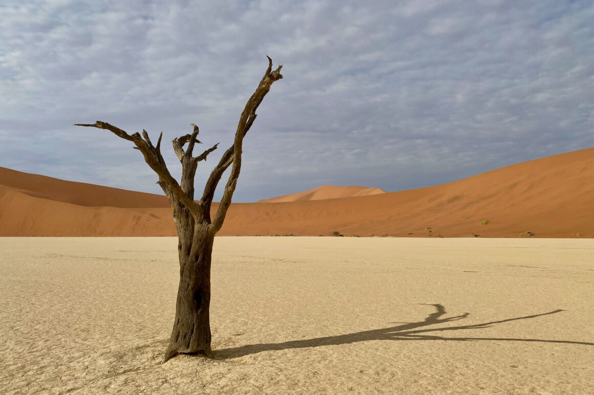 Namibia. 9 x Woooow! 1 Namibia, Namib, Deadvlei, Sossuvlei