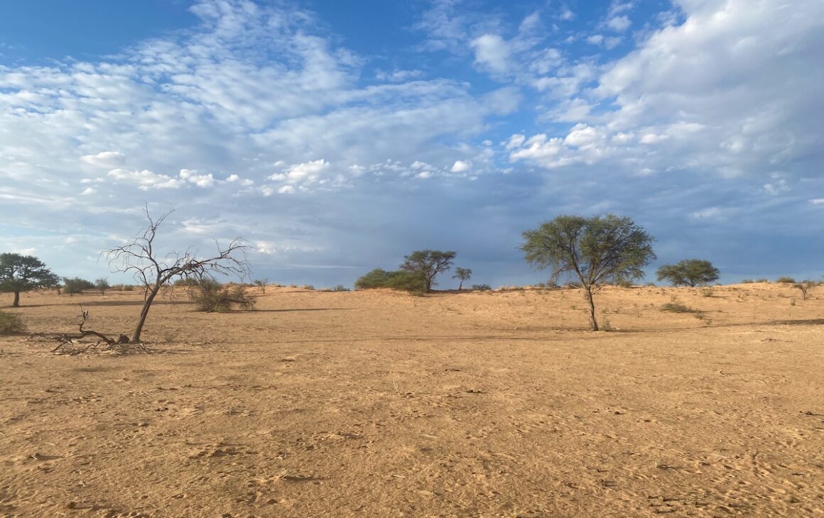 Namibia. 9 x Woooow! 2 Namibia, Kalahari