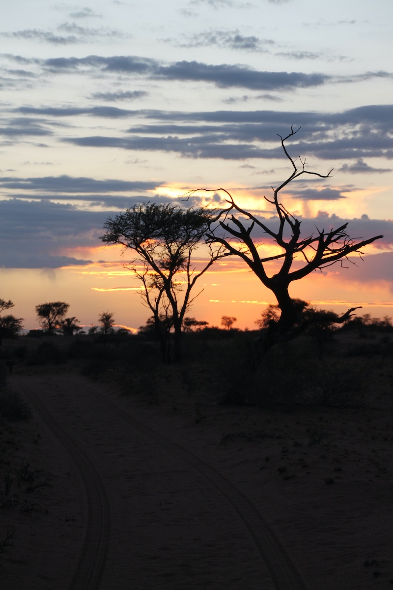 Namibia. 9 x Woooow! 19 Namibia, Sonnenuntergang