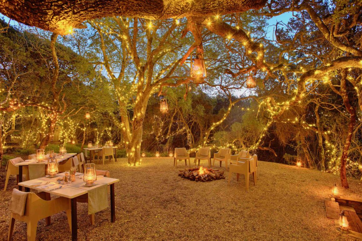 Kapregion, Südafrika. Wellen, Wein und wilde Wurzeln 14 Grootbos, Südafrika, Kapregion, Wildlife, Flower