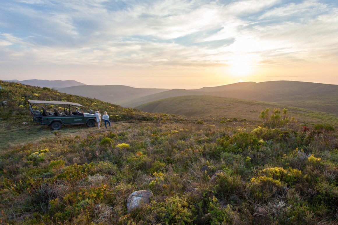 Kapregion, Südafrika. Wellen, Wein und wilde Wurzeln 8 Grootbos, Südafrika, Kapregion, Lodge, Wildlife, Safari