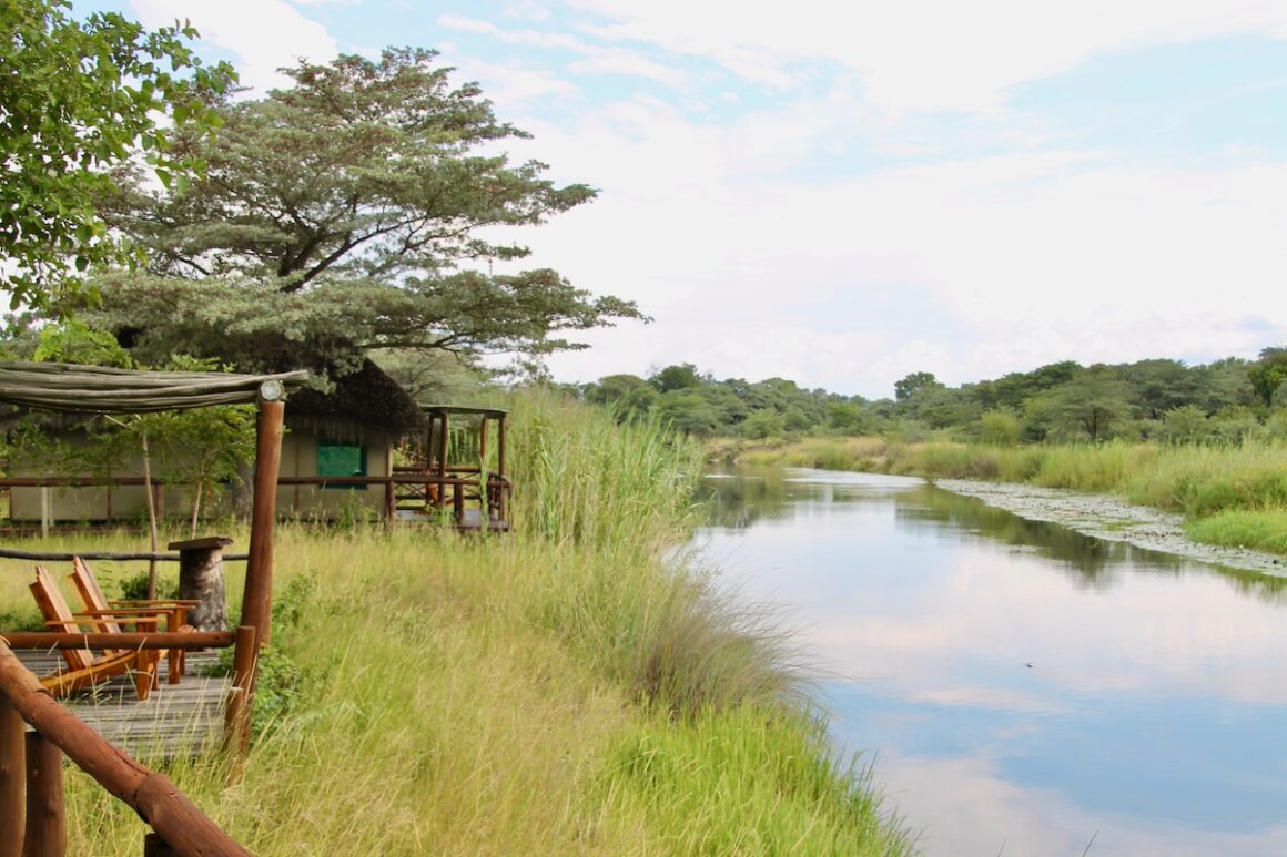 Caprivi. Namibia in Grün 2 Caprivi, Namibia, Wildlife