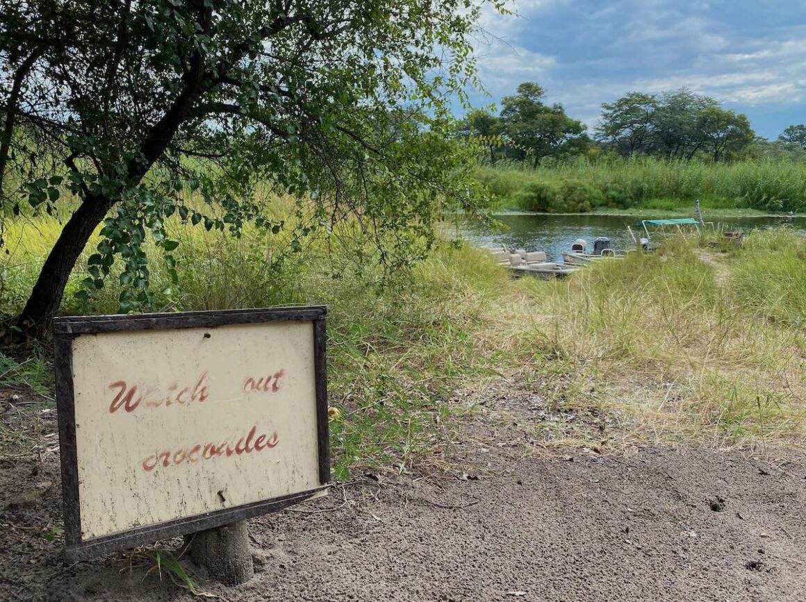 Caprivi. Namibia in Grün 3 Caprivi, Namibia, Wildlife