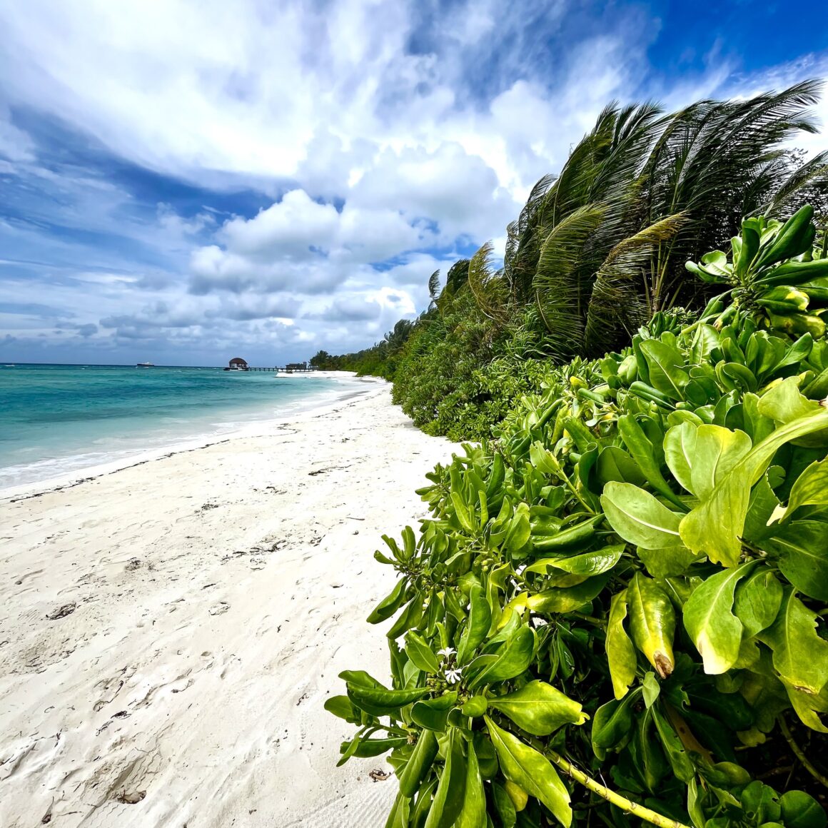 Ozen Life Maadhoo. Leckerbissen 10 Weststrand Ozen Life Maadhoo