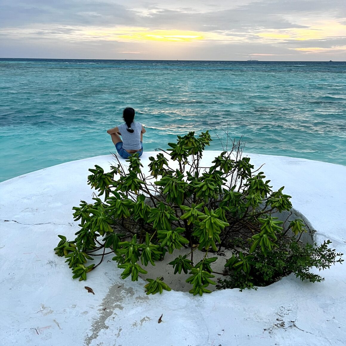 Ozen Life Maadhoo. Leckerbissen 11 Ozen Life Maadhoo sunset am Strand