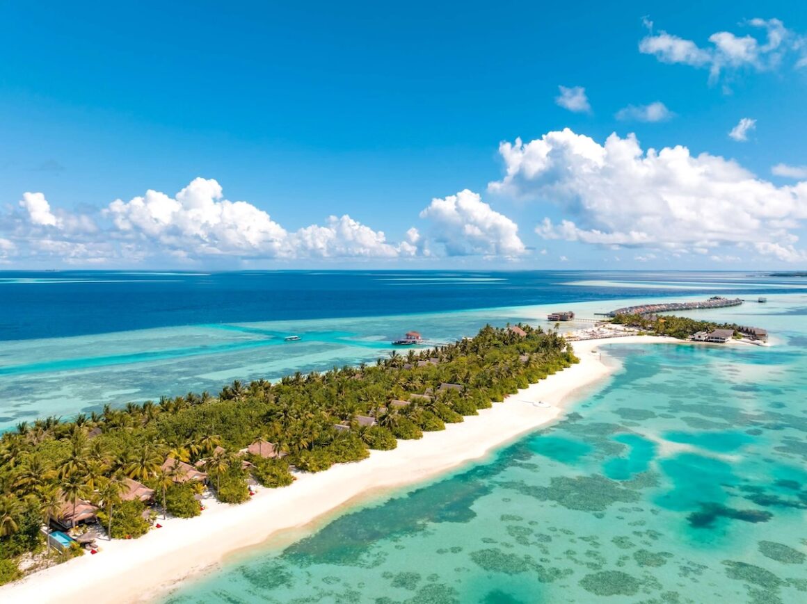 Ozen Life Maadhoo. Leckerbissen 1 Ozen Life Maadhoo © Ozen