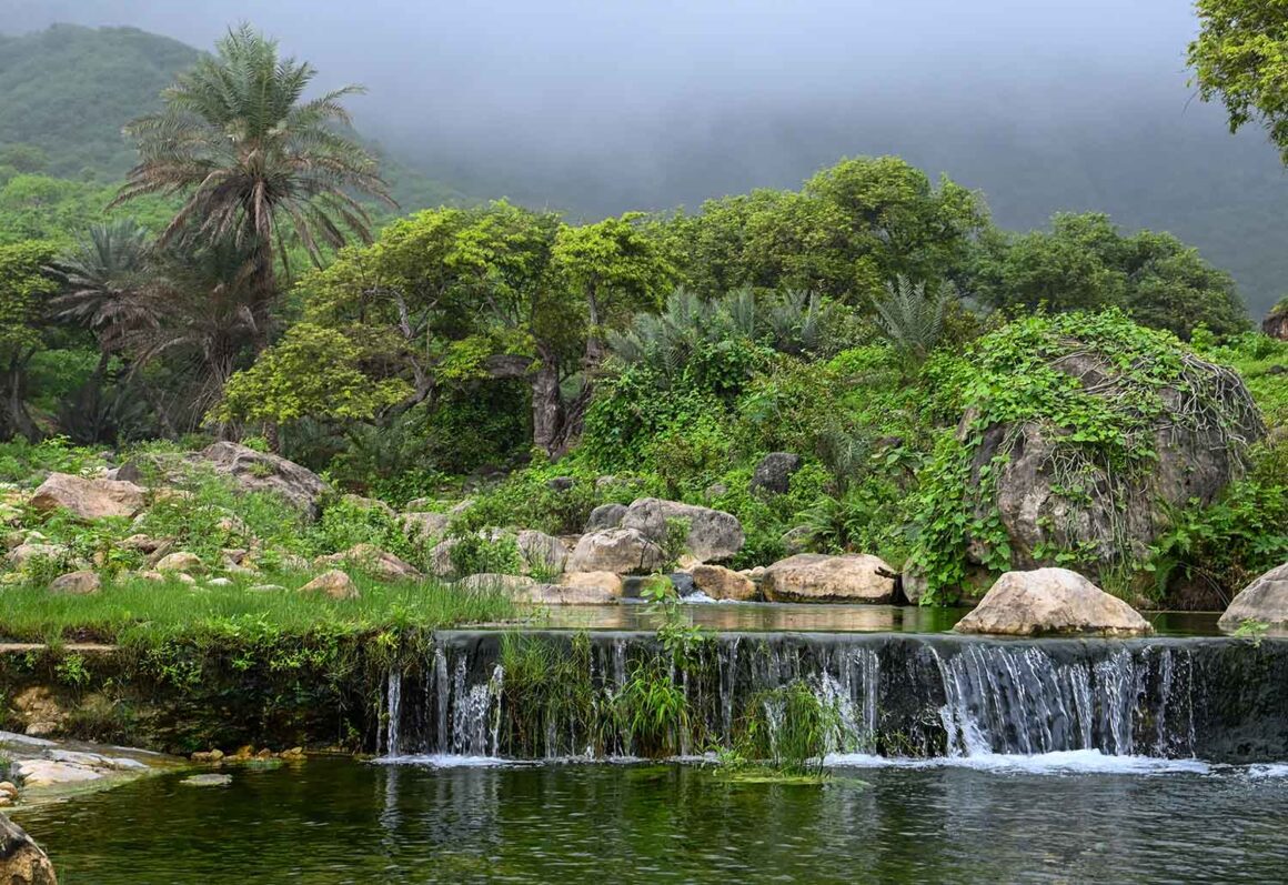 Salalah. Arabia Felix im Nieselregen 15 Wasserfälle, Darbat, Khareef, Oman