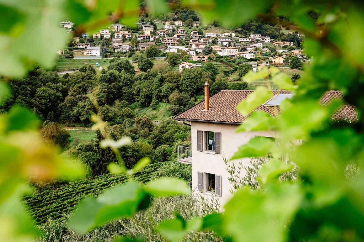 Lugano: 10 persönliche Reise-Tipps 16 Azienda Agricola Bianchi, Arogno, Tessin