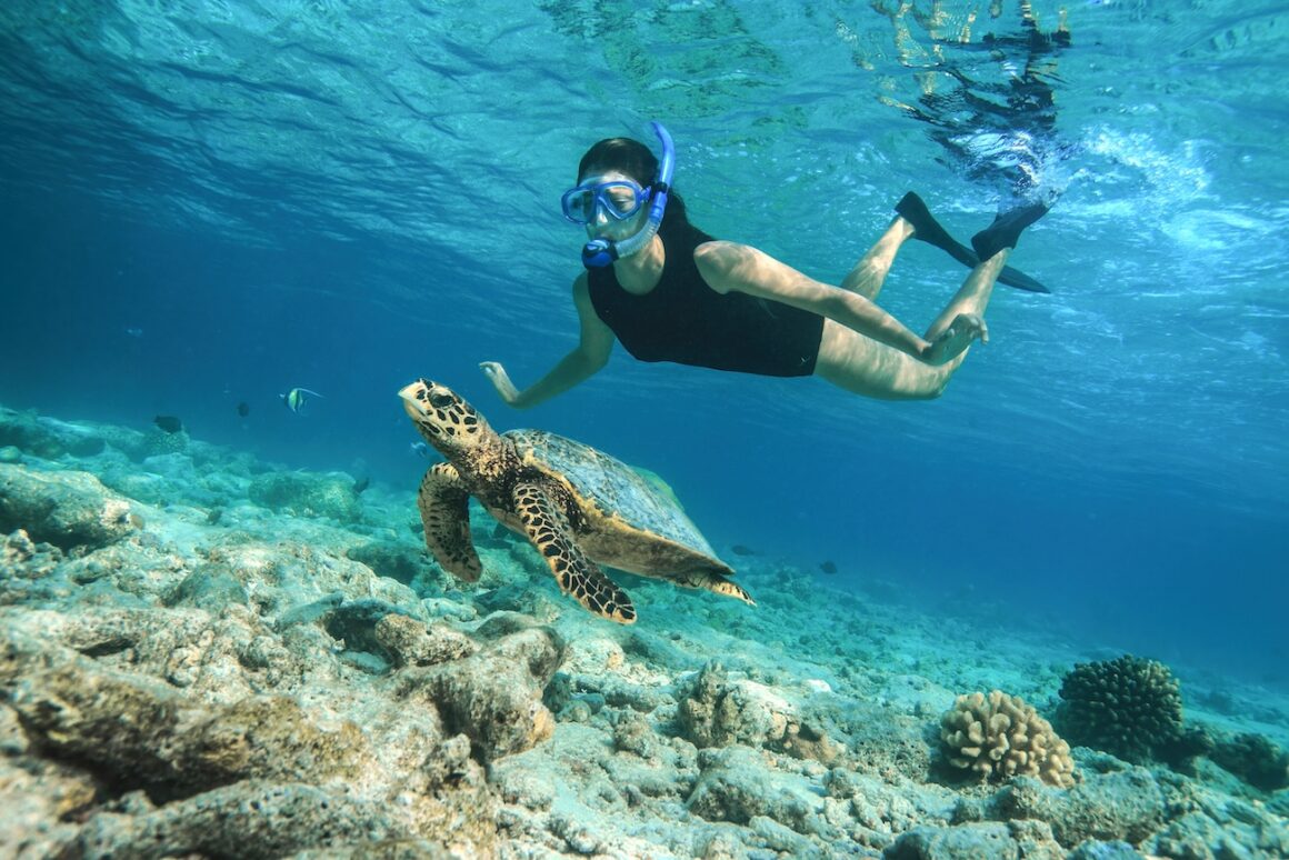 Baros. Fifty Years, Still Stunning 9 Baros Maldives Bewertung Review Hausriff schnorcheln